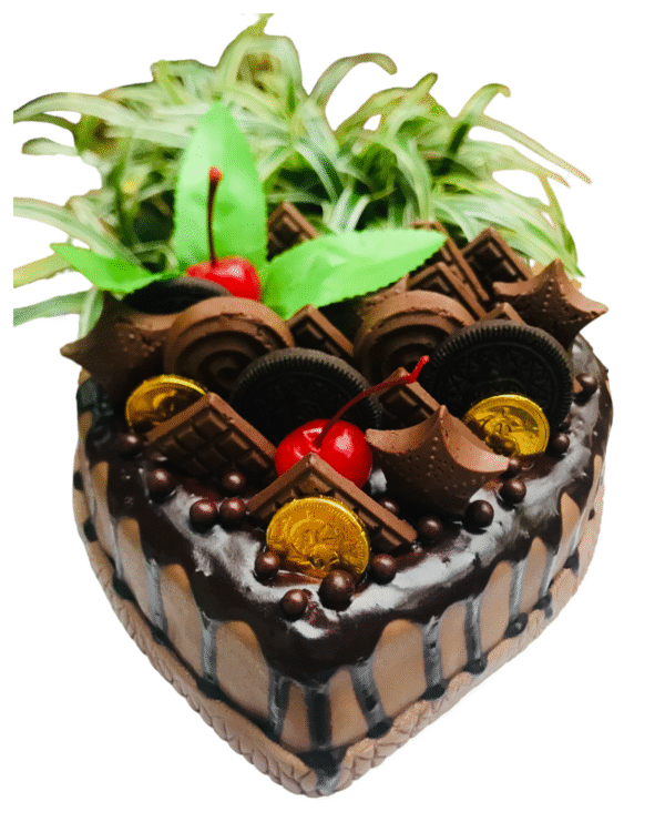 Choco Cherry Heart Delight